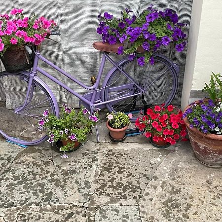 Apartament L'Orologio Panoramico Luserna San Giovanni Zewnętrze zdjęcie